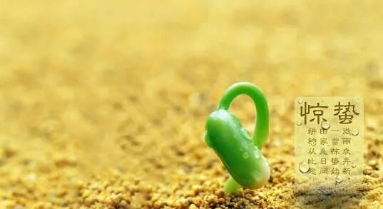 1678057615124655.jpg 01.jpg